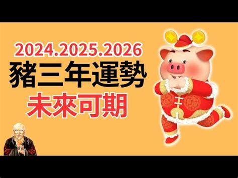 2008年生肖五行 豬年2024